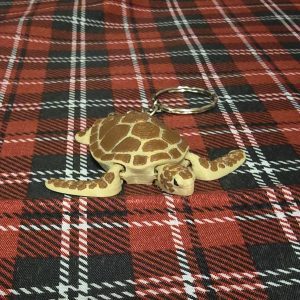 20240914_021616 Turtle Keyring