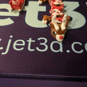 Reindeer with Sleigh (Medium)